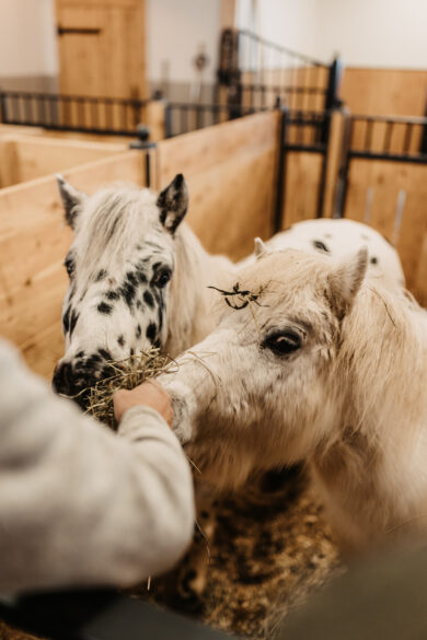 15-12-2021_SelinaFlaschPhotography-35