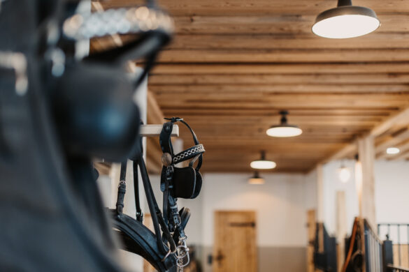 15-12-2021_SelinaFlaschPhotography-69