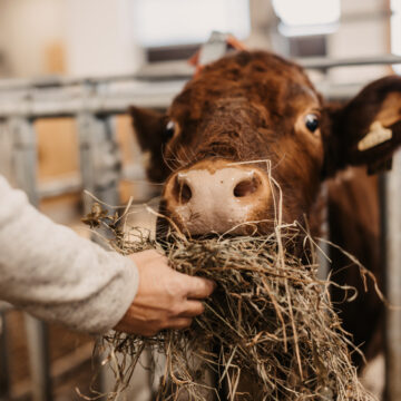 15-12-2021_SelinaFlaschPhotography-9