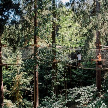 Baumparcours St. Johann im Pongau