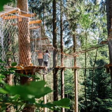 Baumparcours St. Johann im Pongau