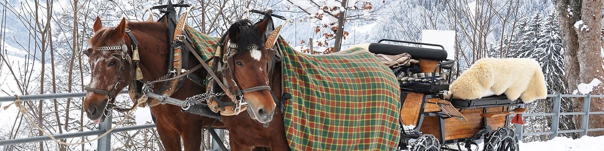 Pferdekutsche Winter