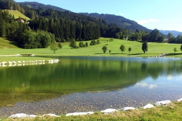 See im Grünen
