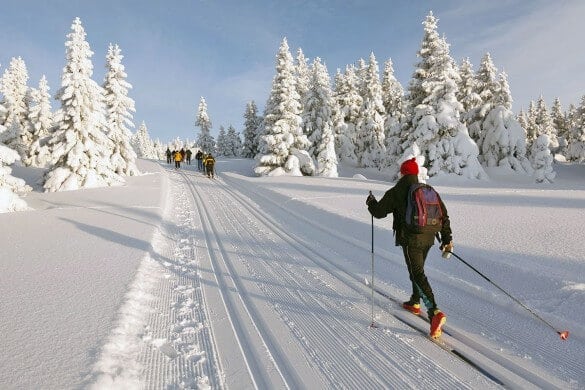 Langlauf Skifahrer