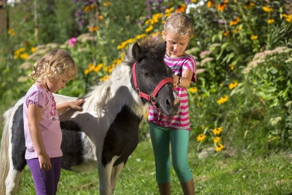 Mädchen streicheln Pony