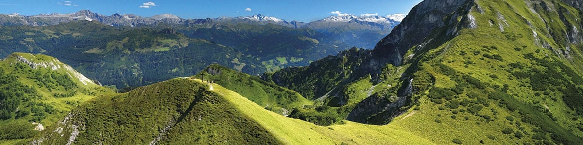 Grüne Berglandschaft