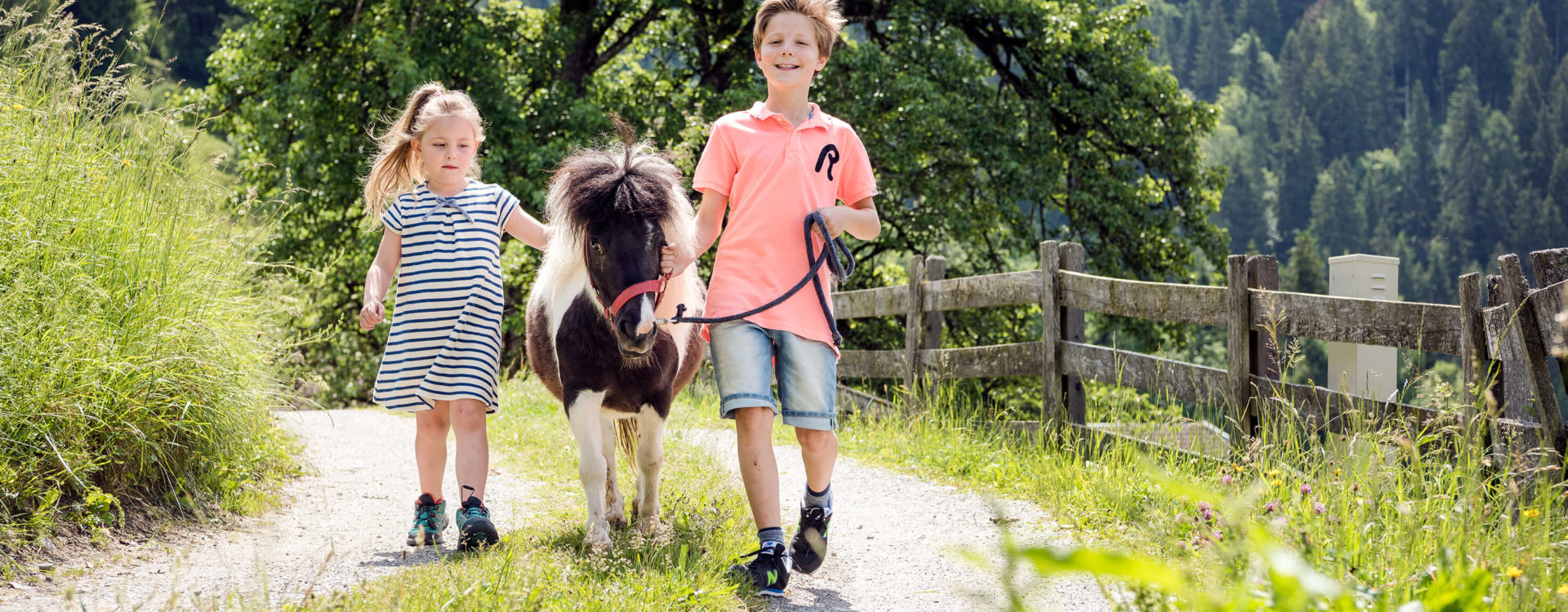 Pony spaziert mit Kindern