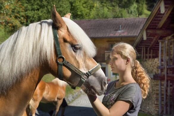Pferd mit blondem Mädchen