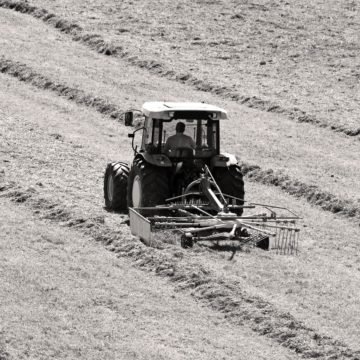 Traktor auf Feld