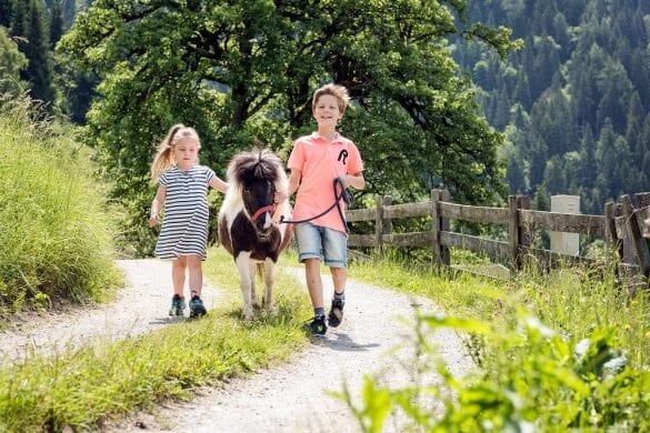 Kinder spazieren mit Pony