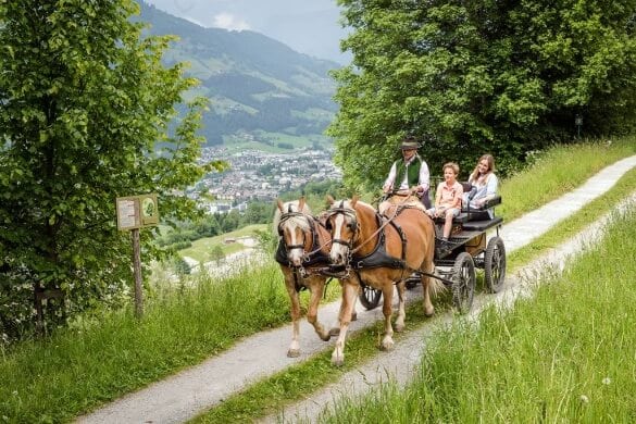 Kutschfahrt mit Pferden